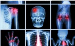 ���\���W(xu��)�̌W(xu��)ҕ�l