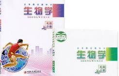 �K�̰�����������꼉�σ������o��(d��o)