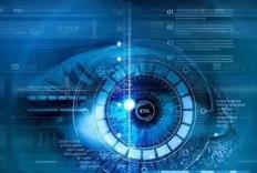 ��Ъ����W(xu��)����ȌW(xu��)��(x��)Ӌ(j��)��C(j��)ҕ�X(ju��)���n��