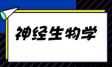 ��(j��ng)����W(xu��)Ӣ����Ļ