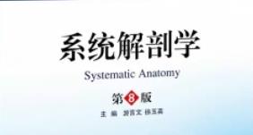 ϵ�y(t��ng)���ʌW(xu��)�t(y��)�ƴ�W(xu��)��Ʒ�n�̽̌W(xu��)ҕ�l