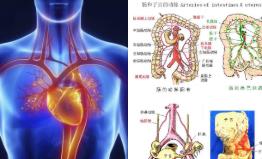 ���w���ʌW(xu��)��(d��ng)��(hu��)��ʾ75��