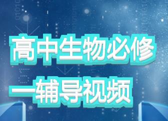 �˽̰��һ�������һ�o��(d��o)ҕ�l