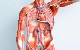 �B�T(m��n)�t(y��)�W(xu��)Ժ--���w���ʌW(xu��)�̌W(xu��)ҕ�l