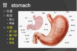 ���w���ʌW(xu��)������W(xu��)500�v-��Ӣ��Ļ