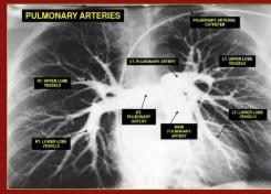 Ӱ���xƬ�c��늈Dҕ�l�̌W(xu��)