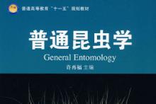 ��ͨ���x(ch��ng)�W(xu��)ҕ�l�̌W(xu��)