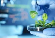 �߿������o��(d��o)ҕ�l