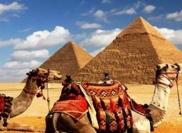 ʧ��ĹŰ����v��