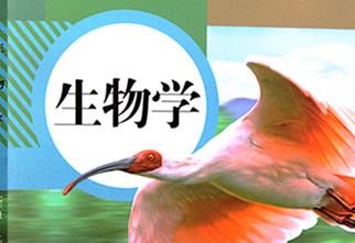 ��������}�n��ҕ�l