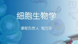 ��������W�n��ҕ�l