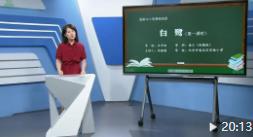 ������5�꼉�Z���σԽ̌Wҕ�l