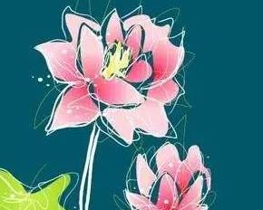 �����n�ã��F��ɢ�����x�c���p