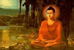 �X����-���g�������Ĳ��