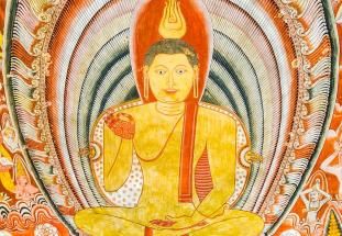 ���ɷ������扯��