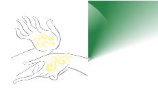 �����ַ�Ҫ�I(l��ng)ϵ��΢�n-�������t(y��)ˎ��W(xu��)