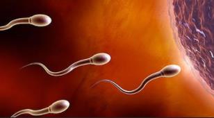 �Ĵ���W���_�n�����ҽ�����ֳ����֪�R