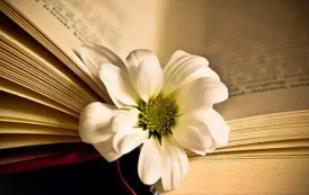  �����Ї���������ɢ��400ƪ