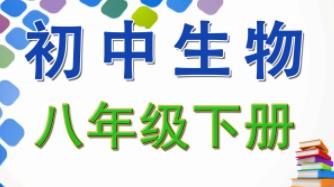 ����������꼉�����ԾW(w��ng)�j(lu��)�n��