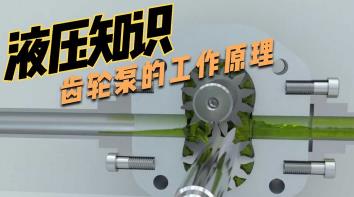 ���N��ԭ��Ӯ���ʾҕ�l