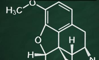 �Y(ji��)��(g��u)���W(xu��)���A(ch��)��Ʒ�n- ������W(xu��)