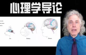 ������W(xu��)��(d��o)Փ�������W(xu��)���_�n