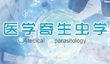 �t(y��)�W(xu��)�����x�W(xu��)��Ʒ�n - ���ϴ�W(xu��)