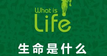 �����x�Ѧ���@��������ʲô��