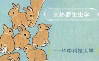 �����w�����x�W(xu��)��Ʒ�n���A�пƼ���W(xu��)