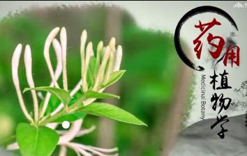 ��ˎ��ֲ��W(xu��)���Ї�ˎ�ƴ�W(xu��) ����t��ȫ108������Ʒ�n 1.6�f 9 11:52:00 ��ˎ��ֲ��W(xu��)���Ї�ˎ�ƴ�W(xu��) ȫ�׽̌W(xu��)ҕ�l