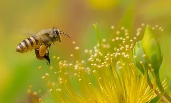 �۷��B(y��ng)ֳ���g(sh��)�̳�