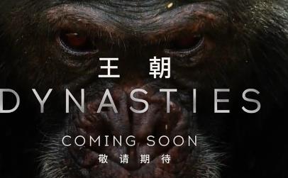 �o(j��)�Ƭ��������.��Ӣ����Ļ