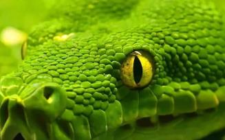 ����������(d��ng)��