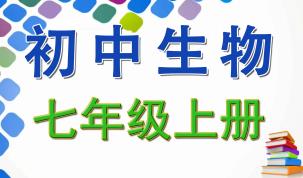 ���г�һ���꼉(j��)����̌W(xu��)ҕ�l