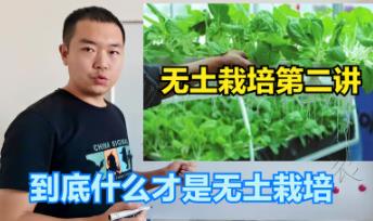 �o(w��)�����༼�g(sh��)���T�̳�