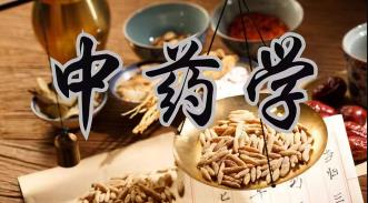 �������t(y��)ˎ��W(xu��)����ˎ�W(xu��)���̌W(xu��)ҕ�l