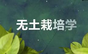 �o(w��)�������W(xu��)ҕ�l�̌W(xu��)