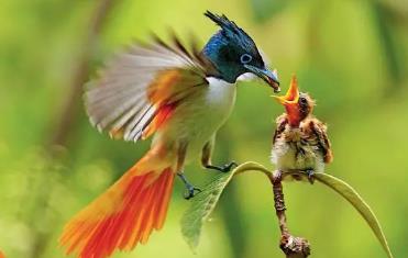 ���ҵ���Ӣ�İ�(125�n��