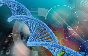 ����(f��)����W(xu��)������M�W(xu��)��Ʒ�n