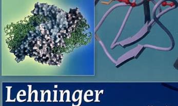 �������W(xu��)�����ﻯ�W(xu��)ԭ���n��