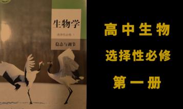 �˽�A��߶����� ���޵�һ���n��