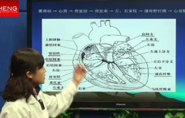 �R����늈D�̌W(xu��)ҕ�l