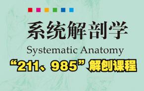 ���wϵ�y(t��ng)���ٌW(xu��)�n��