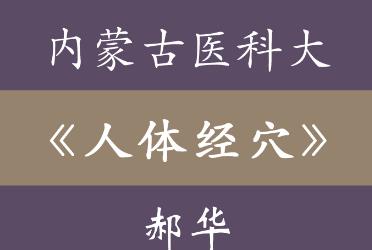 ��(n��i)�ɹ��t(y��)�ƴ�W(xu��)�����w��(j��ng)Ѩ�����ܡ��n��