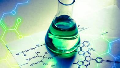 2024 ���л��W һ݆����݆����݆������