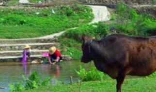 �������_��2���o�Ƭ