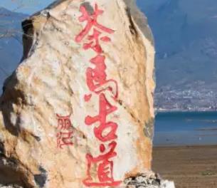 ���R�ŵ�-�o(j��)�Ƭ