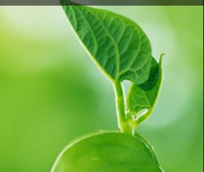 �����ҕҰ�� ���������E