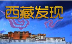 �o(j��)�Ƭ�����ذl(f��)�F(xi��n)��