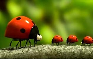 ��΢�^С����V�����x����(d��ng)�T��117��ȫ